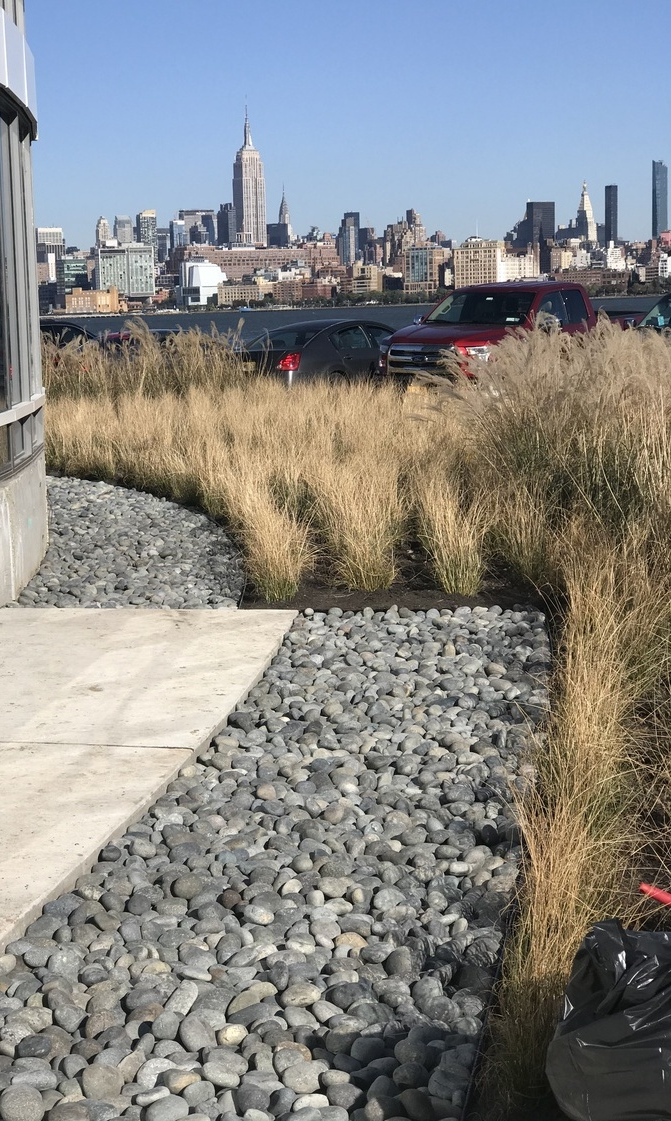 Rooftop landscaping with black Mexican beach pebbles and ornamental grasses, NYC skyline in background