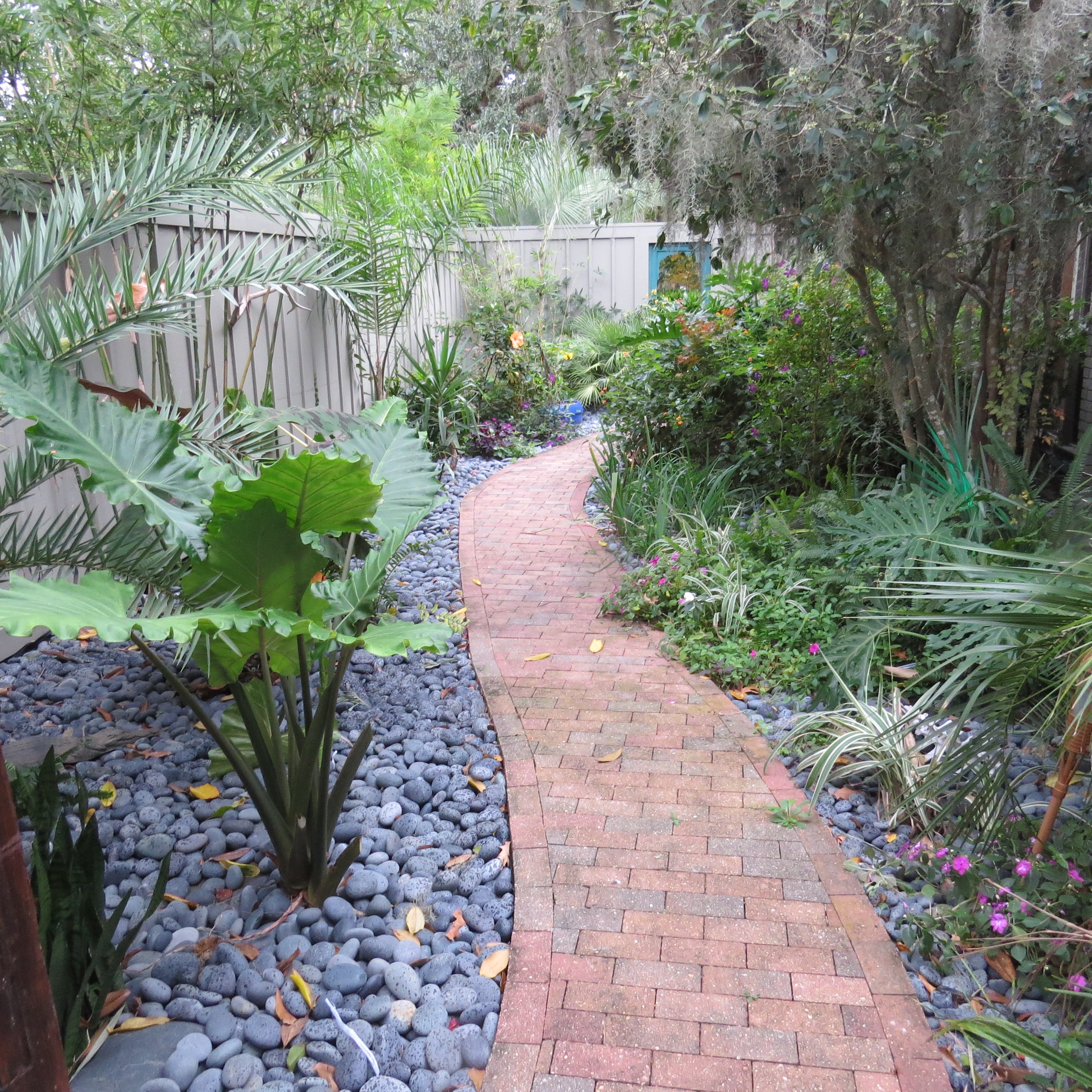Garden pathway bordered with black Mexican beach pebbles and tropical plants