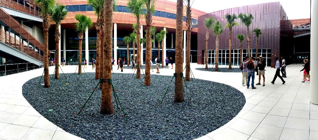 Black Mexican beach pebble landscape project