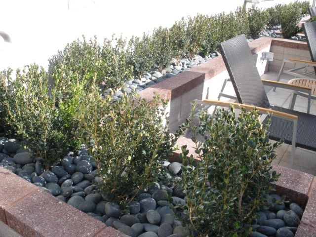 Black Mexican beach pebble landscaping
